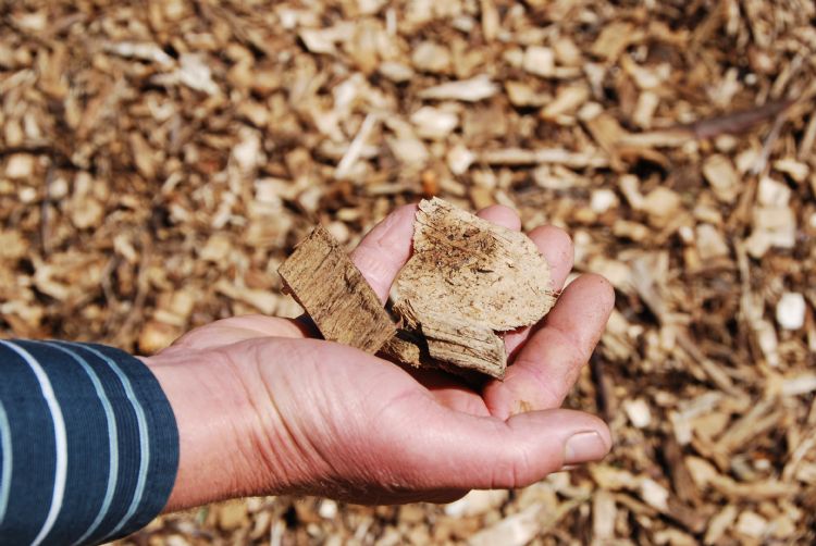 Opdrachtgevers gebruiken steeds vaker houtchips als bodembedekking of strooisel voor plantvakken.