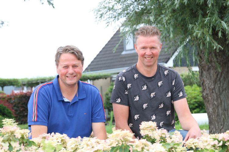 Ronald Laman en Tonco Captein in een proefbed met <i>H. paniculata</i> 'Switch® Ophelia', waardoor de plaats van de foto niet alleen mooi is, maar ook symbolisch. Inmiddels is de samenwerking behoorlijk uitgebreid: 'Tachtig procent van mijn nieuwe rassen Ronald Laman en Tonco Captein in een proefbed met <i>H. paniculata</i> 'Switch® Ophelia', waardoor de plaats van de foto niet alleen mooi is, maar ook symbolisch. Inmiddels is de samenwerking behoorlijk uitgebreid: 'Tachtig procent van mijn nieuwe rassen