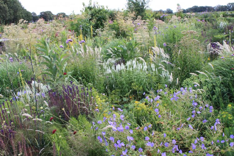 Met de door Lageschaar ontwikkelde prairieschop kun je de planten in de grond zetten zonder dat grond en lava vermengd raken Met de door Lageschaar ontwikkelde prairieschop kun je de planten in de grond zetten zonder dat grond en lava vermengd raken