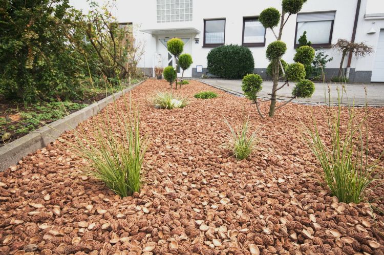 Perzikstenen van Nocciolo Perzikstenen van Nocciolo