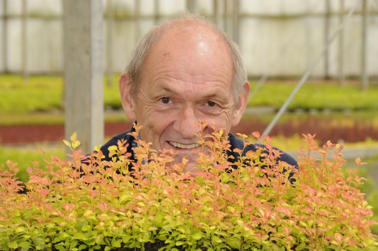 Kees de Jong: 'In de tijd dat 'Black Tower' vijf takken produceert, maakt 'Obelisk' er acht à tien.' Kees de Jong: 'In de tijd dat 'Black Tower' vijf takken produceert, maakt 'Obelisk' er acht à tien.'