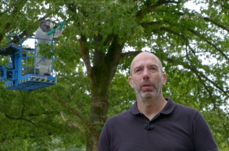 Ivo de Groot Ivo de Groot