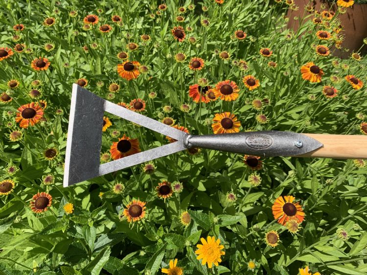 <i>Dutch hoe</i> <i>Dutch hoe</i>