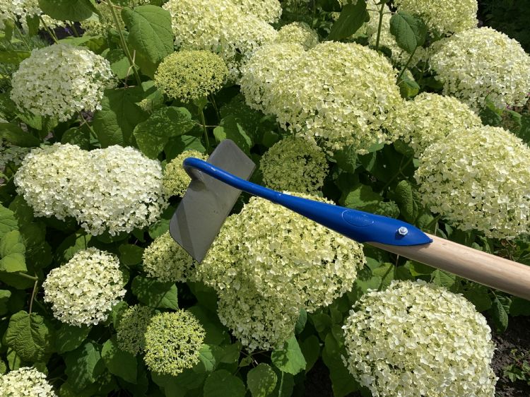 Rechte hak Rechte hak