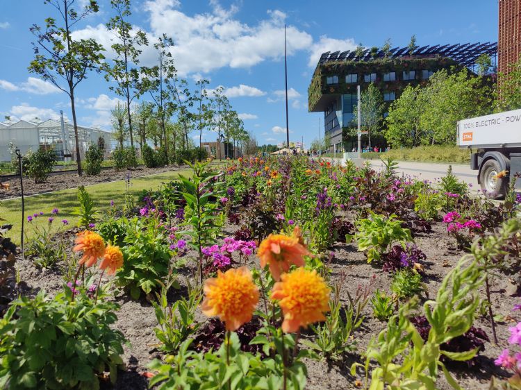 Onkruid wieden tussen de bloemen en planten hoort bij het dagelijks werk op de Floriade Onkruid wieden tussen de bloemen en planten hoort bij het dagelijks werk op de Floriade