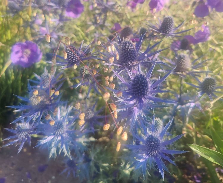 Het zonlicht speelt met vormen en kleuren op de Floriade. Het zonlicht speelt met vormen en kleuren op de Floriade.