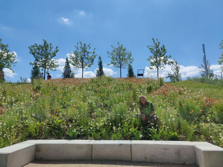 Van der Steen aan het werk op een helling op de Floriade Van der Steen aan het werk op een helling op de Floriade