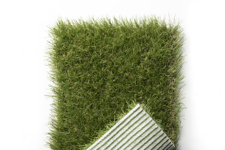 ONE DNA: de circulariteit trok Sweep over de streep ONE DNA: de circulariteit trok Sweep over de streep