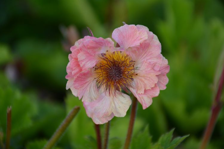 Fotos: Marlien van der Linden Fotos: Marlien van der Linden