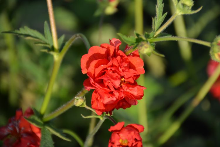 Foto's: Marlien van der Linden Foto's: Marlien van der Linden