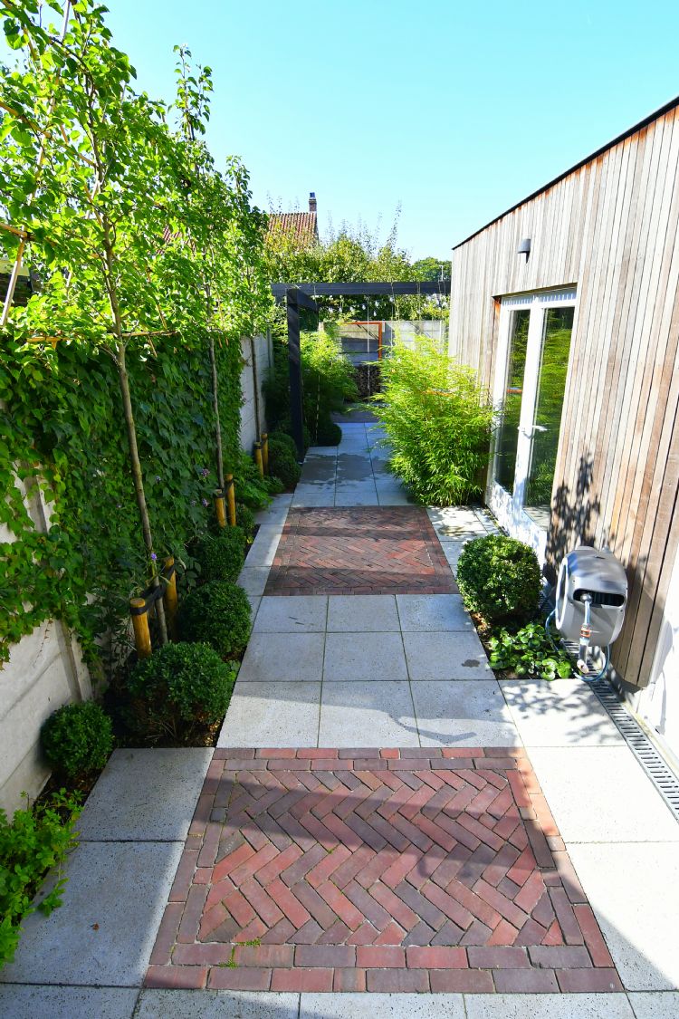 Stadstuin in Tilburg. 'Juist omdat het zo klein is, moet je creatief zijn.' Stadstuin in Tilburg. 'Juist omdat het zo klein is, moet je creatief zijn.'