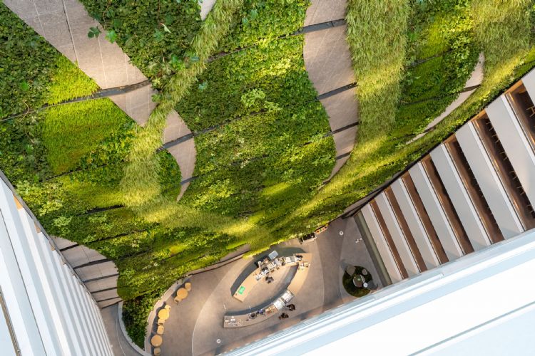 De majestueuze landschappelijke groenwand van Koninklijke Ginkel Groep De majestueuze landschappelijke groenwand van Koninklijke Ginkel Groep