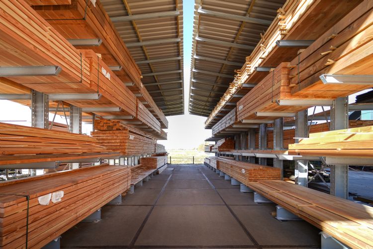 Van Dorp, specialist in hout Van Dorp, specialist in hout