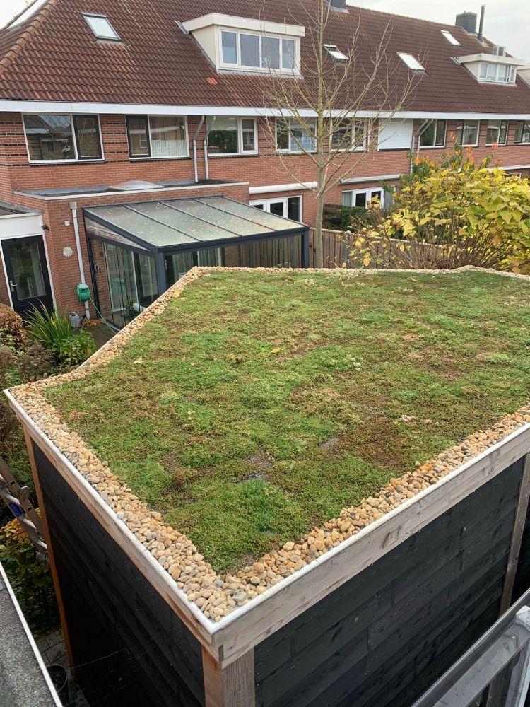 Door een speciaal recept van lichtgewicht poreuze tegels begroeid met sedum en een uitgebalanceerde sedumdaksysteem krijgt onkruid geen kans en hebben de planten niets nodig Door een speciaal recept van lichtgewicht poreuze tegels begroeid met sedum en een uitgebalanceerde sedumdaksysteem krijgt onkruid geen kans en hebben de planten niets nodig