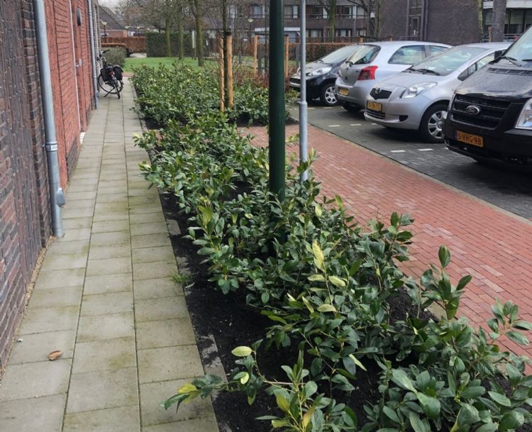 Het GrowGreen-concept van Den Ouden Het GrowGreen-concept van Den Ouden