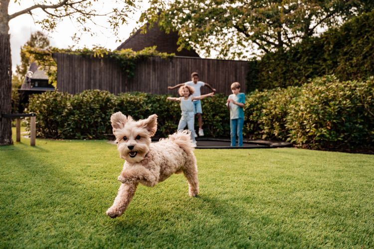 'Gelukkig zijn er steeds meer ontwikkelingen op het gebied van duurzamer kunstgras; dat juichen wij toe.' 'Gelukkig zijn er steeds meer ontwikkelingen op het gebied van duurzamer kunstgras; dat juichen wij toe.'