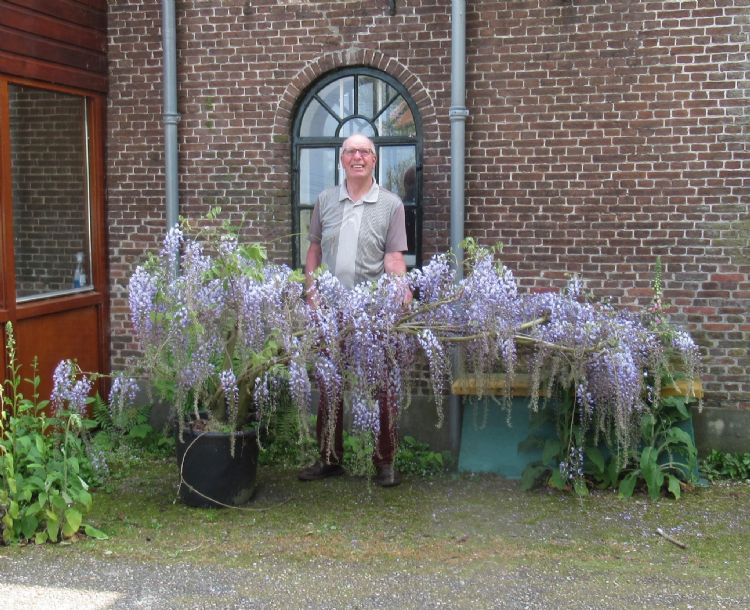 Van der Eijk is vrijwillig actief voor de Bomenstichting. Ook onderhoudt hij nog steeds zelf zijn eigen tuin. Van der Eijk is vrijwillig actief voor de Bomenstichting. Ook onderhoudt hij nog steeds zelf zijn eigen tuin.