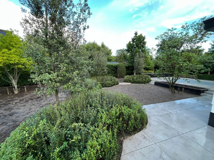 Hovenier Peter Jansen: 'Het uitgangspunt voor de kwaliteit is bij Smits Boomkwekerij 100 procent. Mocht je een terugval hebben, dan eindig je met 90 procent. Dat is prima.' Hovenier Peter Jansen: 'Het uitgangspunt voor de kwaliteit is bij Smits Boomkwekerij 100 procent. Mocht je een terugval hebben, dan eindig je met 90 procent. Dat is prima.'