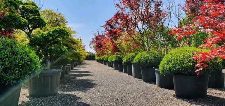Overzicht van een deel van het containerveld Overzicht van een deel van het containerveld