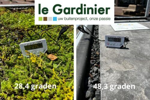 Tegeltuin versus groene tuin Tegeltuin versus groene tuin