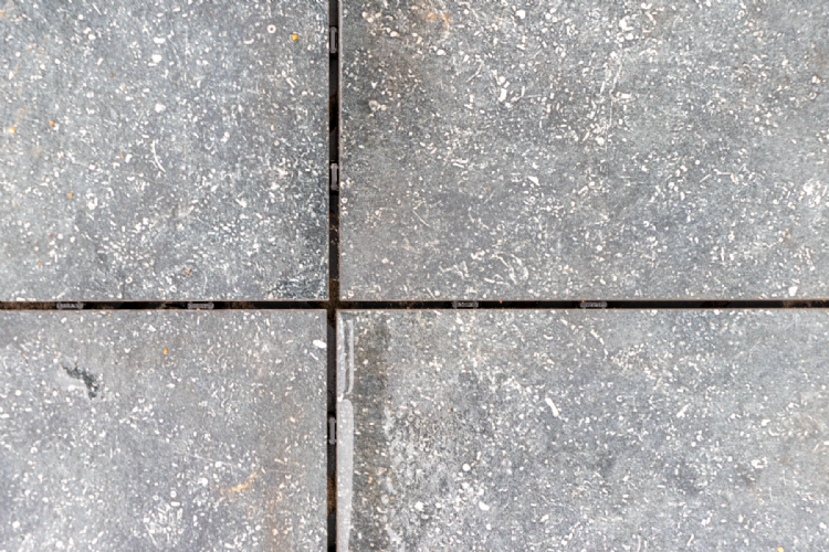 Ceramidrain Ceramidrain