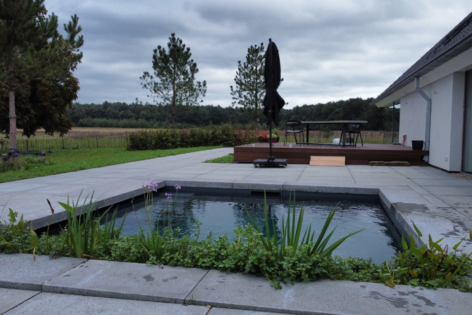 Ecologische zwemvijver in Ossendrecht Ecologische zwemvijver in Ossendrecht