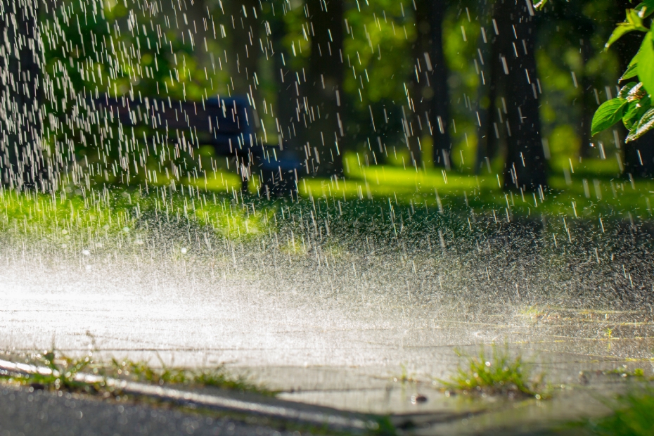 Door regenwater op te vangen, voorkom je wateroverlast in de tuin