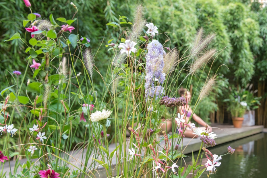 Foto: Maayke de Ridder Foto: Maayke de Ridder