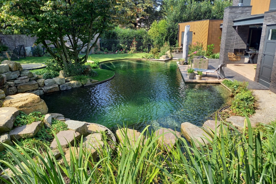 Zwemvijver Tuindesign & Styling Ves Reynders Zwemvijver Tuindesign & Styling Ves Reynders