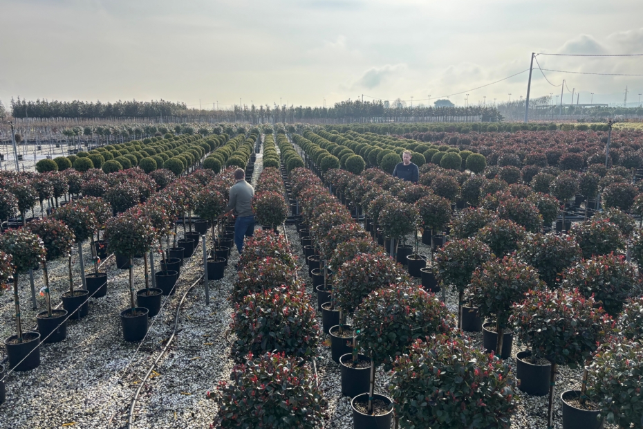De grote kwekerijen met oppervlaktes tot 600 hectare zijn indrukwekkend om te zien De grote kwekerijen met oppervlaktes tot 600 hectare zijn indrukwekkend om te zien