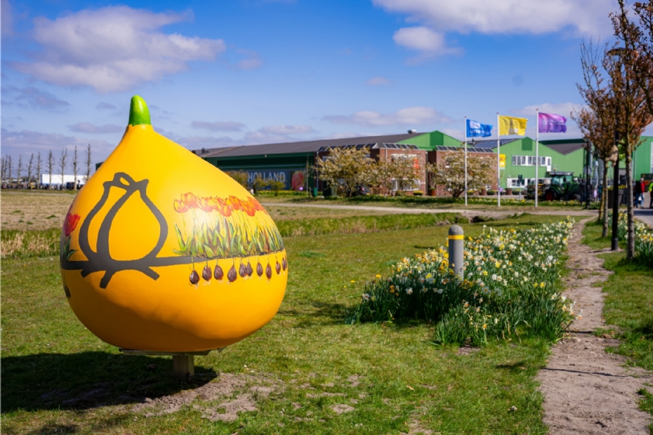 De Reuzenbol De Reuzenbol