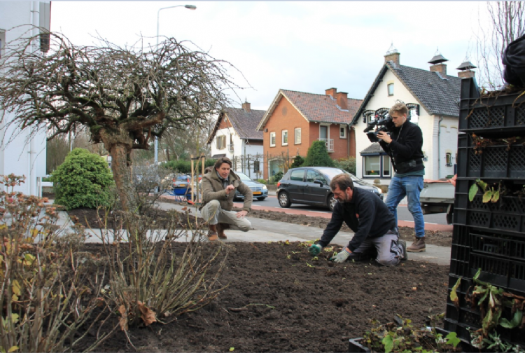 In navolging van de herinrichting van de straat kozen ook particuliere tuinen voor een GreentoColour concept. 