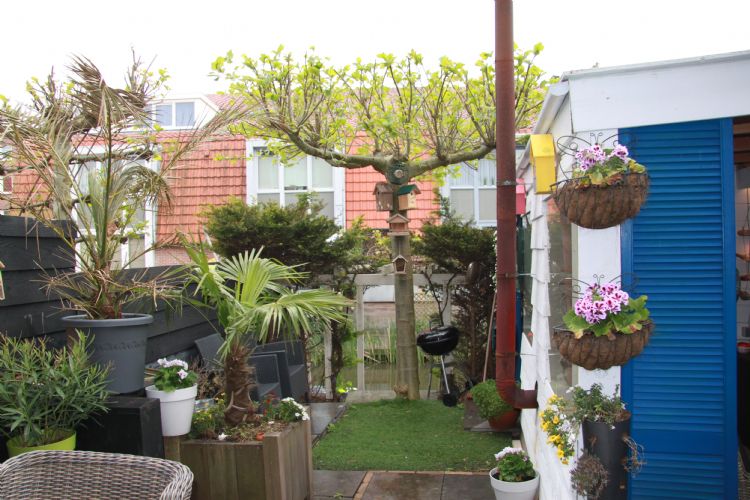 De tuin van Frank Vredenburg heeft van alles wat. De tuin van Frank Vredenburg heeft van alles wat.