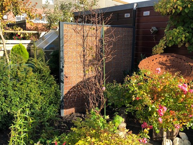 Een perzikstenen schutting van Nocciolo Een perzikstenen schutting van Nocciolo