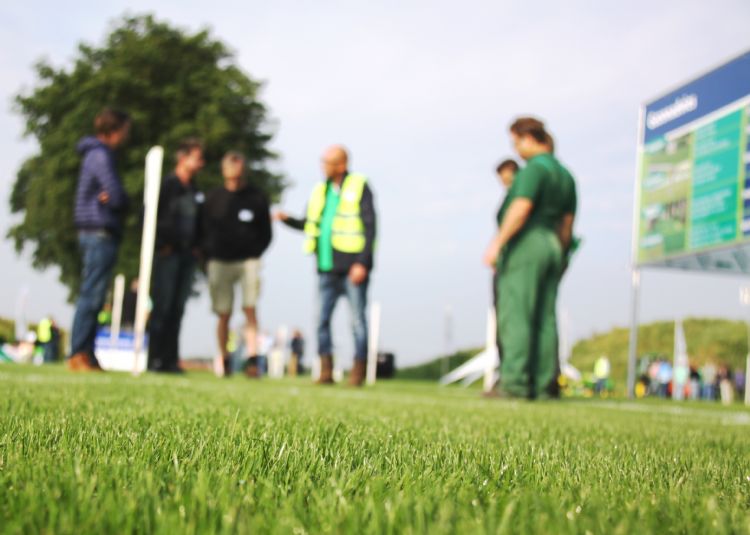 Voorbeeldgazons vertonen verschillende grasmengsels voor in- en doorzaai van tuinen en openbaar groen. Voorbeeldgazons vertonen verschillende grasmengsels voor in- en doorzaai van tuinen en openbaar groen.