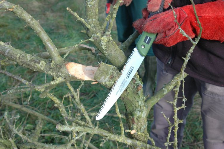 Niet alleen omdat hij groen is, valt de Komelon FB210 op. Niet alleen omdat hij groen is, valt de Komelon FB210 op.