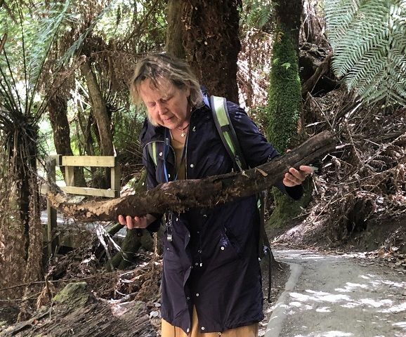 Sytske de Waart bekijkt een aantal knalgele kanarieplatwormen (<i>Fletchamia sugdeni</i>) onder een blok hout op de Fernglade Walk in Tasmanië.
