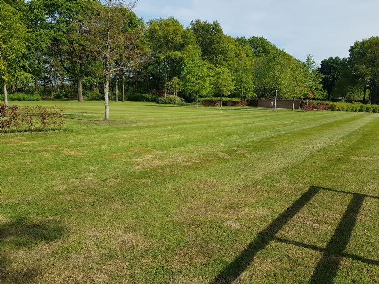 Volgens gebruiker Luc Stokman kun je in een bestaand gazon amper zien dat er is doorgezaaid. Volgens gebruiker Luc Stokman kun je in een bestaand gazon amper zien dat er is doorgezaaid.