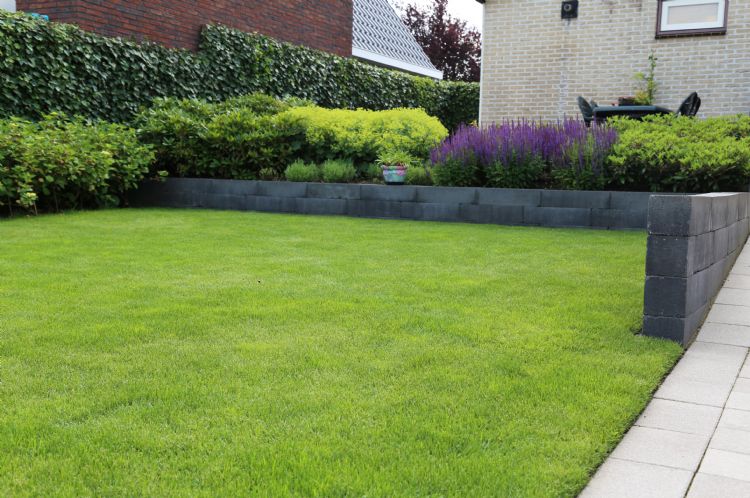 Een groene haag geeft rust en lokt vogels, insecten en andere dieren naar de tuin. (Foto Mobilane) Een groene haag geeft rust en lokt vogels, insecten en andere dieren naar de tuin. (Foto Mobilane)