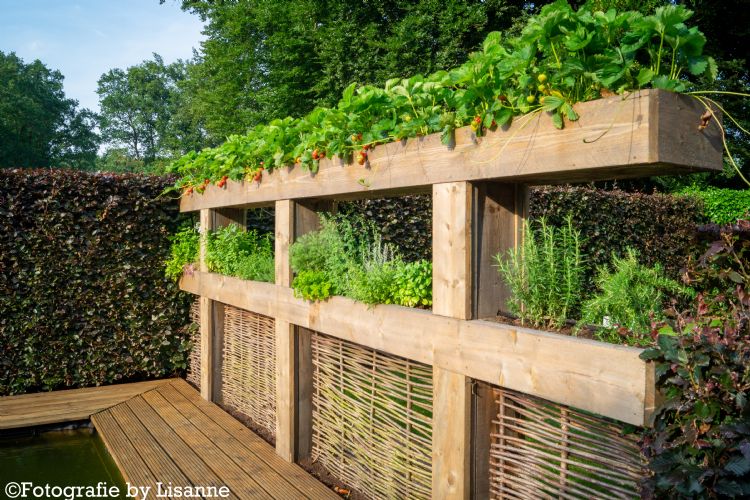 Een zelfgebouwde kruidenbak levert aardbeien op hoogte. Een zelfgebouwde kruidenbak levert aardbeien op hoogte.