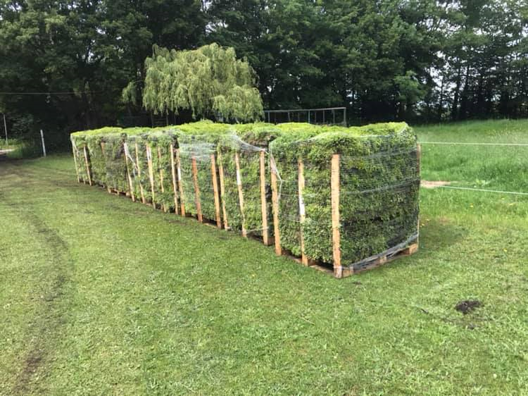 Groen Dak Compleet is totaalleverancier en verzorgt van kweek tot aan de oplevering van de daktuin. Groen Dak Compleet is totaalleverancier en verzorgt van kweek tot aan de oplevering van de daktuin.