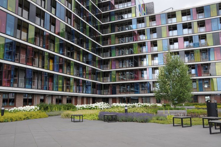 Daktuin Doornroosje Daktuin Doornroosje