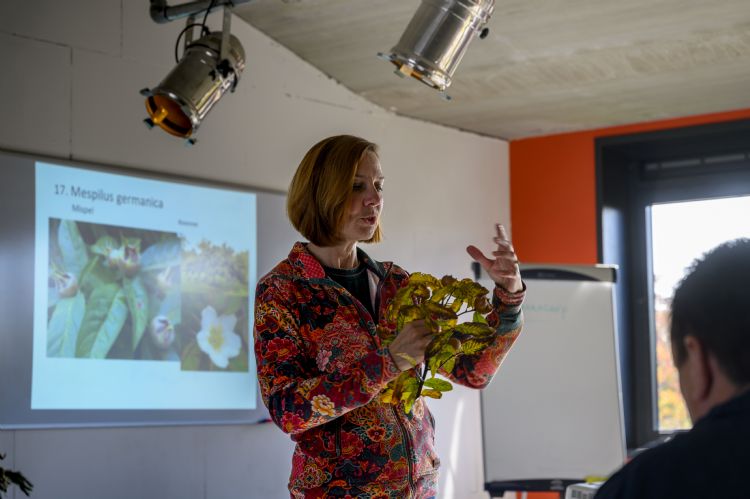 Plantenkennisdocente Ingrid van der Ven