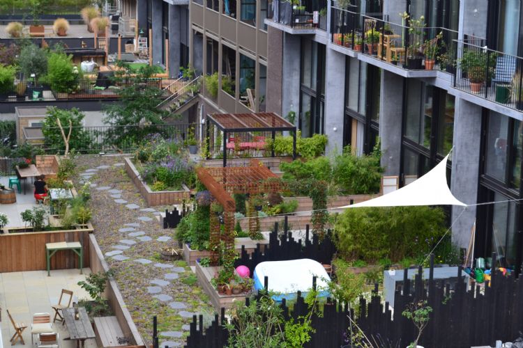 ovenaanzicht van de vijf tuinen op de daken van woningen aan de Haparandaweg in Amsterdam. De tuinen hebben ieder hun eigen inrichting. Via het achterommetje met sedum en looptegels kunnen de bewoners bij elkaar langsgaan.