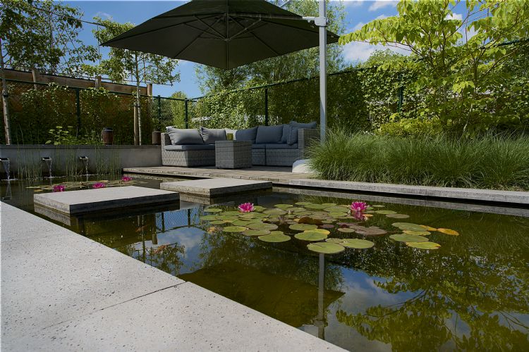 Foto: Cees Rijnen Foto: Cees Rijnen