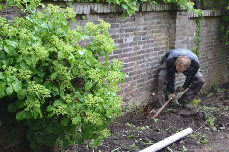 In het project werken bewoners en hoveniers samen