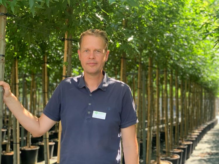 Roy Menkehorst bij 7 hectare containerveld van zijn kwekerij. Menkehorst biedt hier zo'n 300 soorten bomen in pot aan.