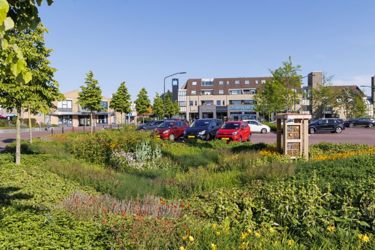 Wadi in Boxmeer Wadi in Boxmeer