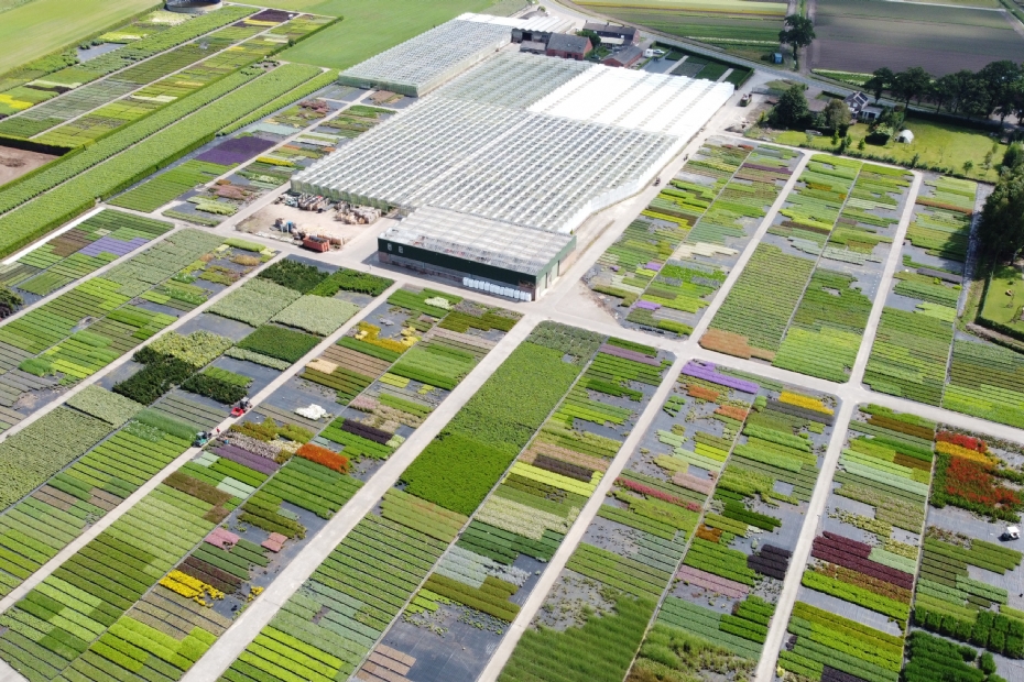 Dronefoto kwekerij Green-One in Zundert