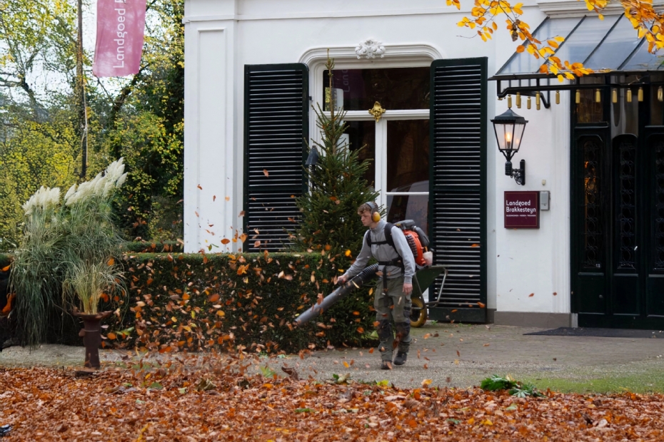Looberg Hoveniers heeft zich ontwikkeld tot een bloeiend bedrijf dat zich onderscheidt door flexibiliteit, vakkennis en een hecht team.